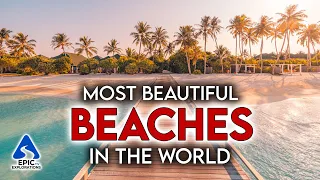 Most Beautiful Beaches in the World | 4K