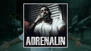 BUSHIDO Type Beat - ADRENALIN (prod. by TREY x Cronsenbeatz)