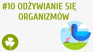 Odżywianie się organizmów #10 [ Przyroda wokół mnie ]