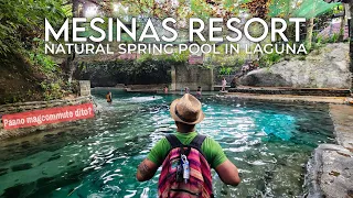 MESINAS RESORT - Natural Cold Spring in Laguna | How to get there?