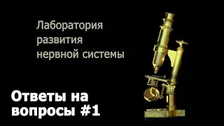 Савельев С. В. отвечает на вопросы читателей. Вопрос #1. В каком порядке читать Ваши книги?