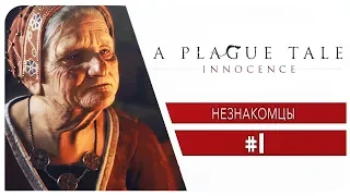 A Plague Tale Innocence [#1] - Незнакомцы