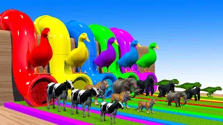 5 Giant Duck Cartoon Tiger,Cow,Dinosaur,Gorilla,Elephant,Chicken Wild Animals Crossing Fountain 2023