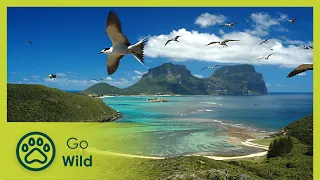 Lord Howe Island: Pacific Eden - Go Wild