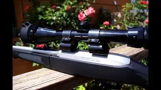 🔥 Best Ruger 10/22 See-Thru Scope Rings. Installation Walk-through 🎯