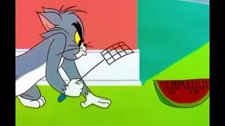 Tom And Jerry English Episodes - Funny Cartoon - Is There a Doctor in the Mouse