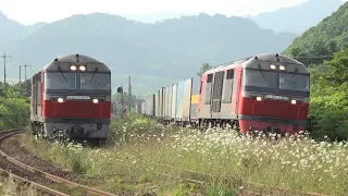 ＤＦ200レッドベアー牽引貨物列車　定期で見られる光景　下り貨物列車が下り貨物列車を追い抜きシーンなど　室蘭本線　礼文駅付近