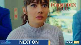 Nawawala ang eroplano ni Alihan! | Next on Forbidden Fruit Pinoy