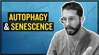 Autophagy & Senescence