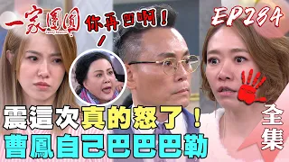 一家團圓 EP284 震這次真的怒了！曹鳳自己巴巴巴勒求原諒｜Family Reunion｜完整版｜【成功環保標章白板筆】