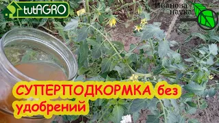 ВСЕ РАСТЕНИЯ ЛЮБЯТ ЭТО! ПОДКОРМИТЕ РАСТЕНИЯ... УКСУСОМ! Все правила УКСУСНОЙ ПОДКОРМКИ.