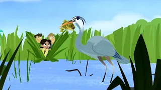 wild kratts - blue heron - full episode in English - HD Kratts series