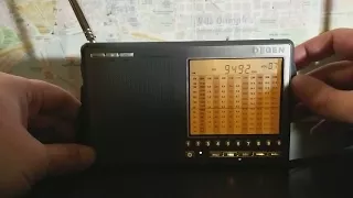 DEGEN DE1103 DSP vs Tecsun PL-310et, with the participation of Tecsun R-9700DX.