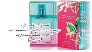 Armand Basi Sensual Orchid My Paradise. Орхидея, пробуждающая чувства.