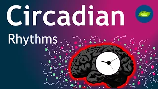 Circadian Rhythms and Human Health| Basic Science Series