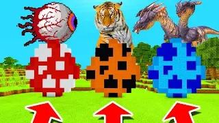 Minecraft PE : DO NOT CHOOSE THE WRONG SPAWN EGG! (Demon Eye, Tiger & Hydra Dragon)