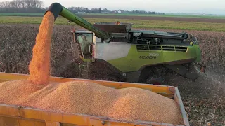 Claas Lexion 760TT při sklizni kukuřice | Farma Papůvka 2022 🌽🌽