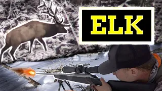 Montana Elk Hunt | Rifle Season