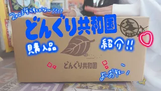 【ジブリ】またどんぐり共和国で1万円お買い物してしまいました…💸