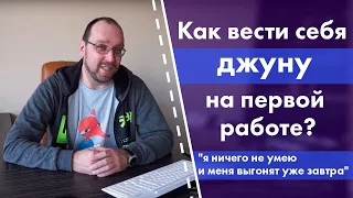 Как вести себя джуну на первой работе?