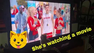 Karrie the kitty watching a movie 🎥 | MALIBU RESCUE