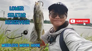 LOWER SELETAR Reservoir: Fishing using WEEDLESS WORM HOOK! #fishinginsingapore #freshwaterfishing