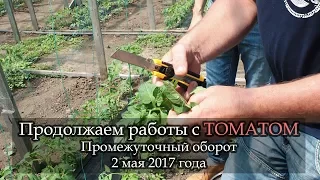 ШОК!!! А вы знали такое  про фосфор? Ликбез Геннадьевича) томат