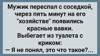 Заразная Соседка! Сборник Свежих Анекдотов! Юмор!