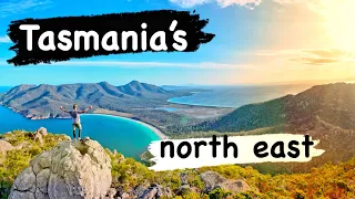 Tasmania's north east // Australia TAS // vlog 77