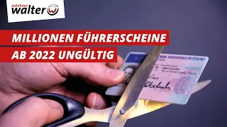 Millionen Führerscheine bald ungültig | was ist zu tun, was steckt dahinter?