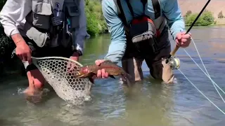 Deschutes River Trout Fishing