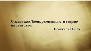 "3 минуты Библии. Стих дня" (8 июня Псалтирь 118:15)