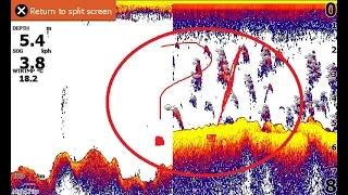 Почему не стоит покупать Lowrance hook2 7x tripleshot gps. Проблема с датчиком.