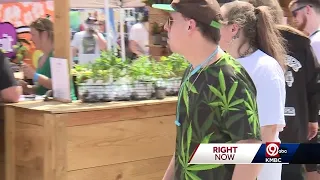 Weeks after weed becomes legal in Missouri, Cannafest returns to Kansas City