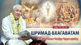 26/01/2024 Шримад-Бхагаватам 7.5.13. Е.М. Чайтанья Чандра Чаран прабху. Вриндаван парк