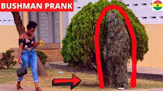 😂😂😂 Hilarious Bushman Prank. Best Of DBee!