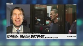 The Kremlin versus Alexei Navalny: 'He gets under Putin's skin'