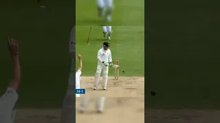 stumps flying delivery by jemmy 🤯 #cricket #shorts