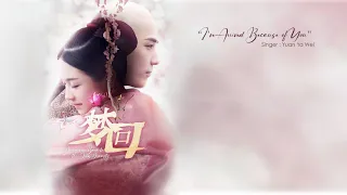 [ Eng/Pin ] Dreaming Back to the Qing Dynasty OST | I've Arrived Because of You - Yuan Ya Wei