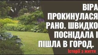 Віра прокинулася рано  Швидко поснідала і пішла в город    Потрібно місце під огірки перекопати,