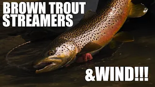 How To Cast Short Line Streamers into the WIND for BIG BROWN TROUT - Brown Trout Fly Fishing