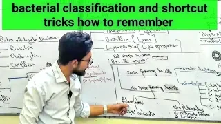 Bacterial Classification Of Medical Importance And Their Diseases