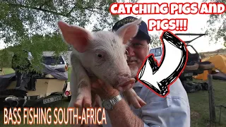 Catching PIGS and PIGS!!! Bulshoek South-Africa(Bass Fishing)