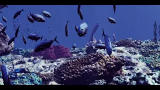 Unreal Engine realistic ocean environment