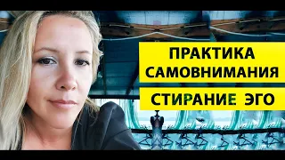 ГЛАВНОЕ ДЛЯ ПРОСВЕТЛЕНИЯ / ПРОБУЖДЕНИЯ СОЗНАНИЯ [ТАМАЯ]