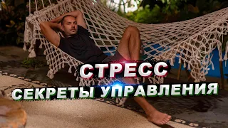 Стрессовые ситуации: как избежать их последствий