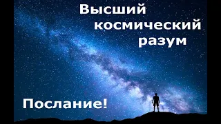 Высший космический разум