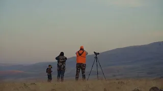 Hanford Washington Elk Hunt