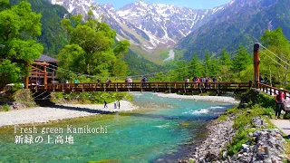 Kamikochi in fresh green is breathtakingly beautiful! Here are some standard courses.