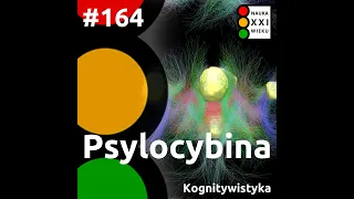 #164 - Psylocybina